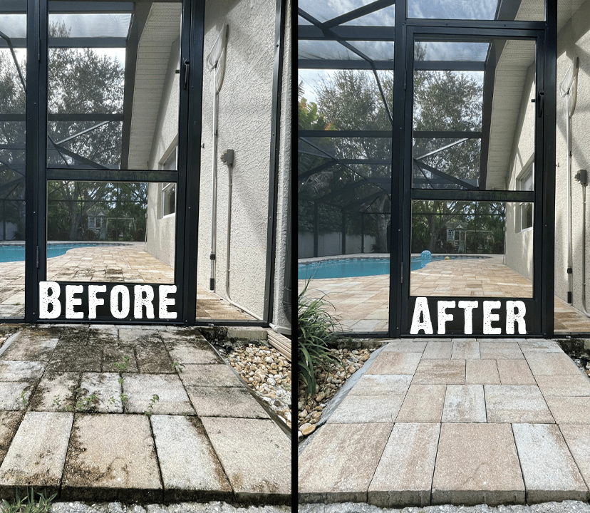 Cleaning & Maintenance